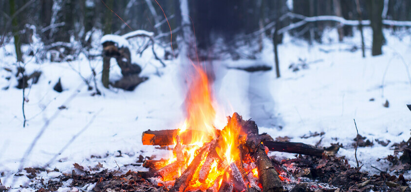 Mountain Pine Beetle fell and burning is in progress