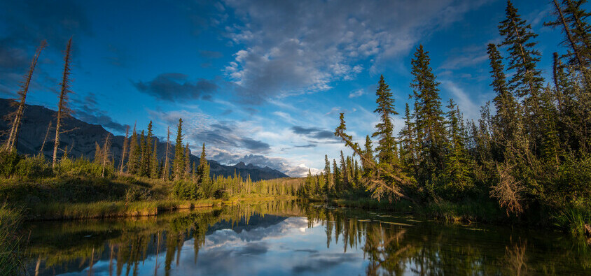 Experiencing odours? You can log an observation at canmore.ca/odour